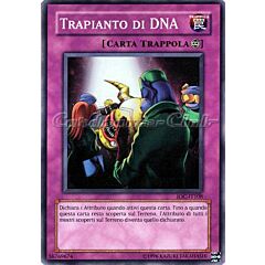 IOC-IT108 Trapianto di DNA comune (IT) -NEAR MINT-