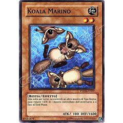 PTDN-IT037 Koala Marino comune Unlimited (IT) -NEAR MINT-