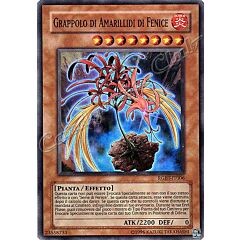 RGBT-IT006 Grappolo di Amarillidi di Fenice super rara Unlimited (IT) -NEAR MINT-