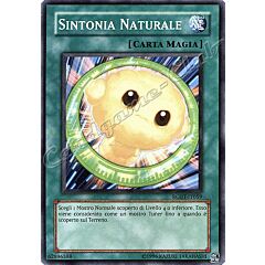 RGBT-IT059 Sintonia Naturale comune Unlimited (IT) -NEAR MINT-