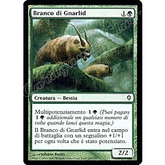 101 / 145 Branco di Gnarlid comune (IT) -NEAR MINT-