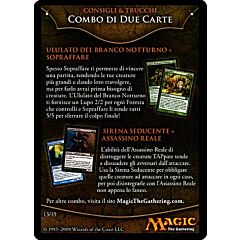 13 / 15 Combo di Due Carte comune -NEAR MINT-
