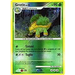 049 / 130 Grotle LIV.21 non comune foil reverse (IT) -NEAR MINT-