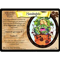 034/140 Mandragola rara (IT)