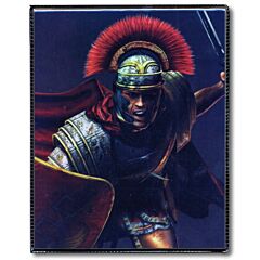 Portfolio 4 tasche 14 pagine Roman