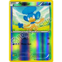 033 / 114 Panpour comune foil reverse (EN) -NEAR MINT-