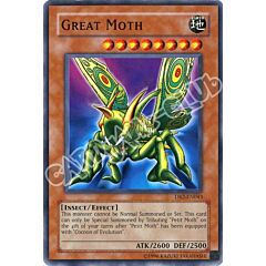 DB2-EN043 Great Moth comune (EN) -NEAR MINT-