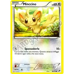 088 / 114 Minccino comune (IT) -NEAR MINT-