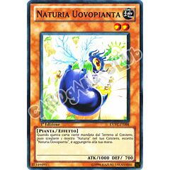 EXVC-IT098 Naturia Uovopianta super rara 1a Edizione (IT) -NEAR MINT-