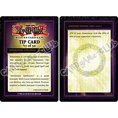 DR1-EN17 Amazoness Strategy, Part 1 comune (EN) -NEAR MINT-