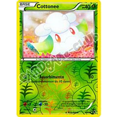 09 / 98 Cottonee comune foil reverse (IT) -NEAR MINT-