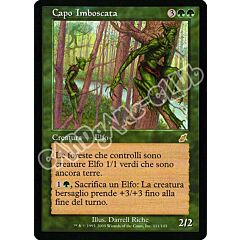 111 / 143 Capo Imboscata rara (IT) -NEAR MINT-