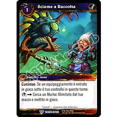 Sciame a Raccolta rara (IT) -NEAR MINT-