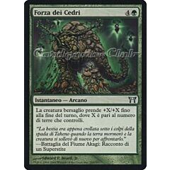245 /306 Forza dei Cedri non comune (IT) -NEAR MINT-