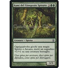 124 / 165 Kami del Ginepraio Spinato non comune (IT) -NEAR MINT-