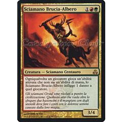 105 / 165 Sciamano Brucia-Albero rara (IT) -NEAR MINT-