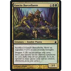 230 / 306 Guscio Barcollante comune (IT) -NEAR MINT-