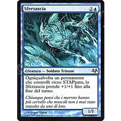 031 / 180 Sferzascia rara (IT) -NEAR MINT-