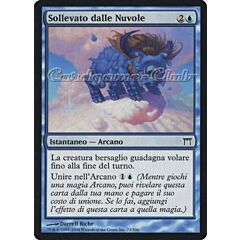 073 / 306 Sollevato dalle Nuvole comune (IT) -NEAR MINT-