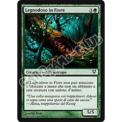 178 / 244 Legnodoso in Fiore comune (IT) -NEAR MINT-