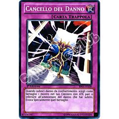 BP01-IT109 Cancello del Danno comune 1a Edizione (IT) -NEAR MINT-