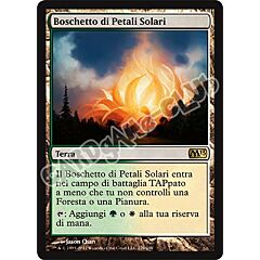 229 / 249 Boschetto di Petali Solari rara (IT) -NEAR MINT-