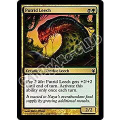 53 / 90 Putrid Leech comune (EN) -NEAR MINT-