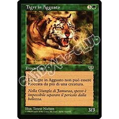 Tigre in Agguato comune (IT) -NEAR MINT-