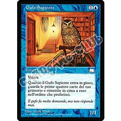 Gufo Sapiente comune (IT) -NEAR MINT-