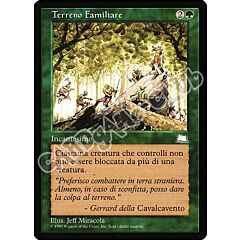 Terreno Familiare non comune (IT) -NEAR MINT-