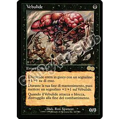 165 / 350 Vebulide rara (IT) -NEAR MINT-