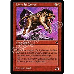 Lince dei Canyon comune (IT) -NEAR MINT-