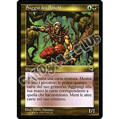 Saggio dei Boschi rara (IT) -NEAR MINT-