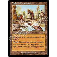 143 / 143 Vallata di Yavimaya rara (IT) -NEAR MINT-