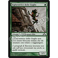 135 / 249 Esploratrice delle Guglie comune (IT) -NEAR MINT-