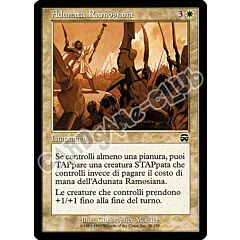 038 / 350 Adunata Ramosiana comune (IT) -NEAR MINT-