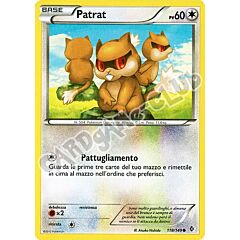 118 / 149 Patrat comune (IT) -NEAR MINT-