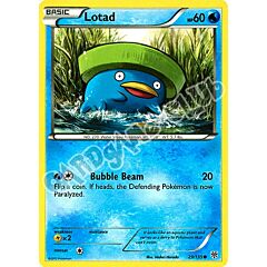 029 / 135 Lotad comune (EN) -NEAR MINT-