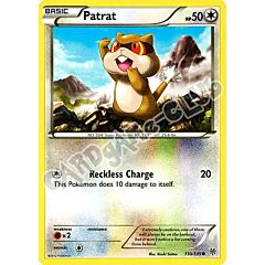 110 / 135 Patrat comune (EN) -NEAR MINT-