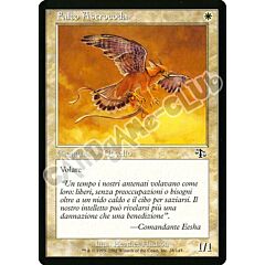 028 / 143 Falco Astrocoda comune (IT) -NEAR MINT-