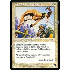 030 / 143 Cornapunta Addestrata comune (IT) -NEAR MINT-