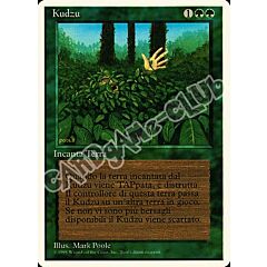 Kudzu rara (IT) -NEAR MINT-