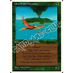 Uccelli del Paradiso rara (IT) -NEAR MINT-
