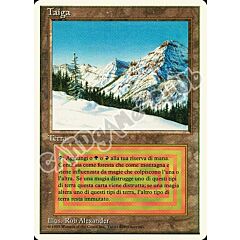 Taiga rara (IT) -NEAR MINT-