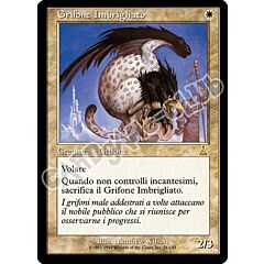 021 / 143 Grifone Imbrigliato rara (IT) -NEAR MINT-