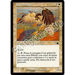 006 / 143 Falco Audace comune (IT) -NEAR MINT-