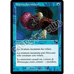 028 / 143 Vescica Aereatoria comune (IT) -NEAR MINT-