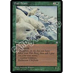 Pale Bears rara (EN) -NEAR MINT-