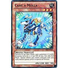 BP01-IT167 Cane a Molla comune Unlimited (IT)  -GOOD-