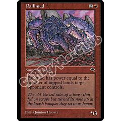 Pallimud rara (EN) -NEAR MINT-